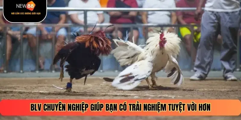 BLV chuyên nghiệp giúp bạn có trải nghiệm tuyệt vời hơn