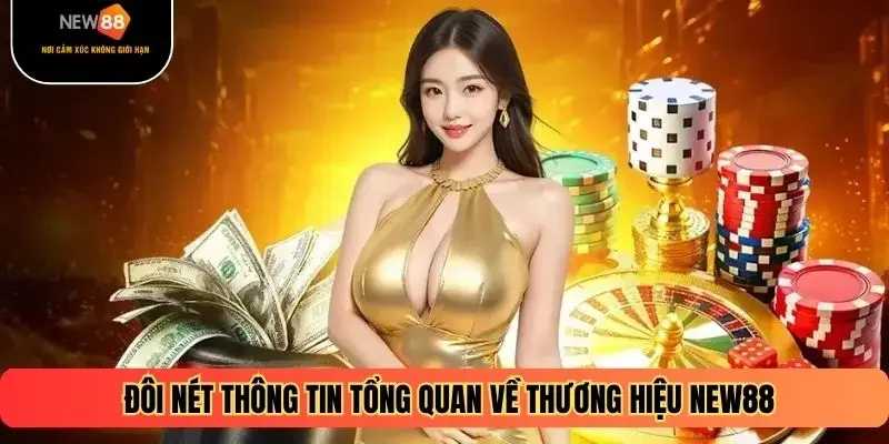 Đôi nét thông tin tổng quan về thương hiệu NEW88