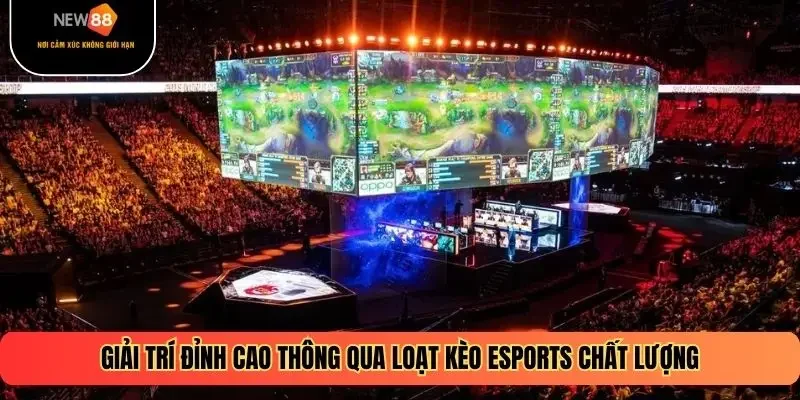 Giải trí đỉnh cao thông qua loạt kèo Esports chất lượng