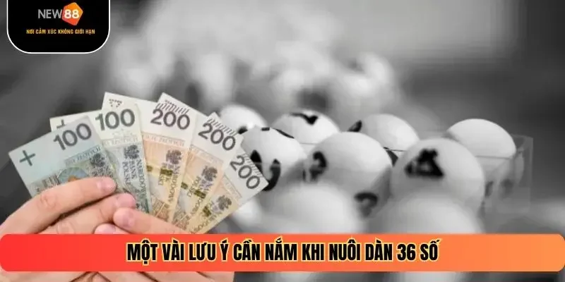 Một vài lưu ý cần nắm khi nuôi dàn 36 số