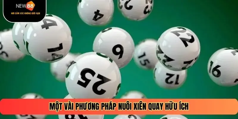 Một vài phương pháp nuôi xiên quay hữu ích